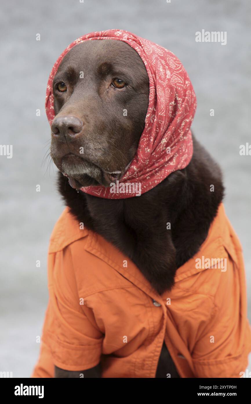 Disguise smock hi-res stock photography and images - Alamy