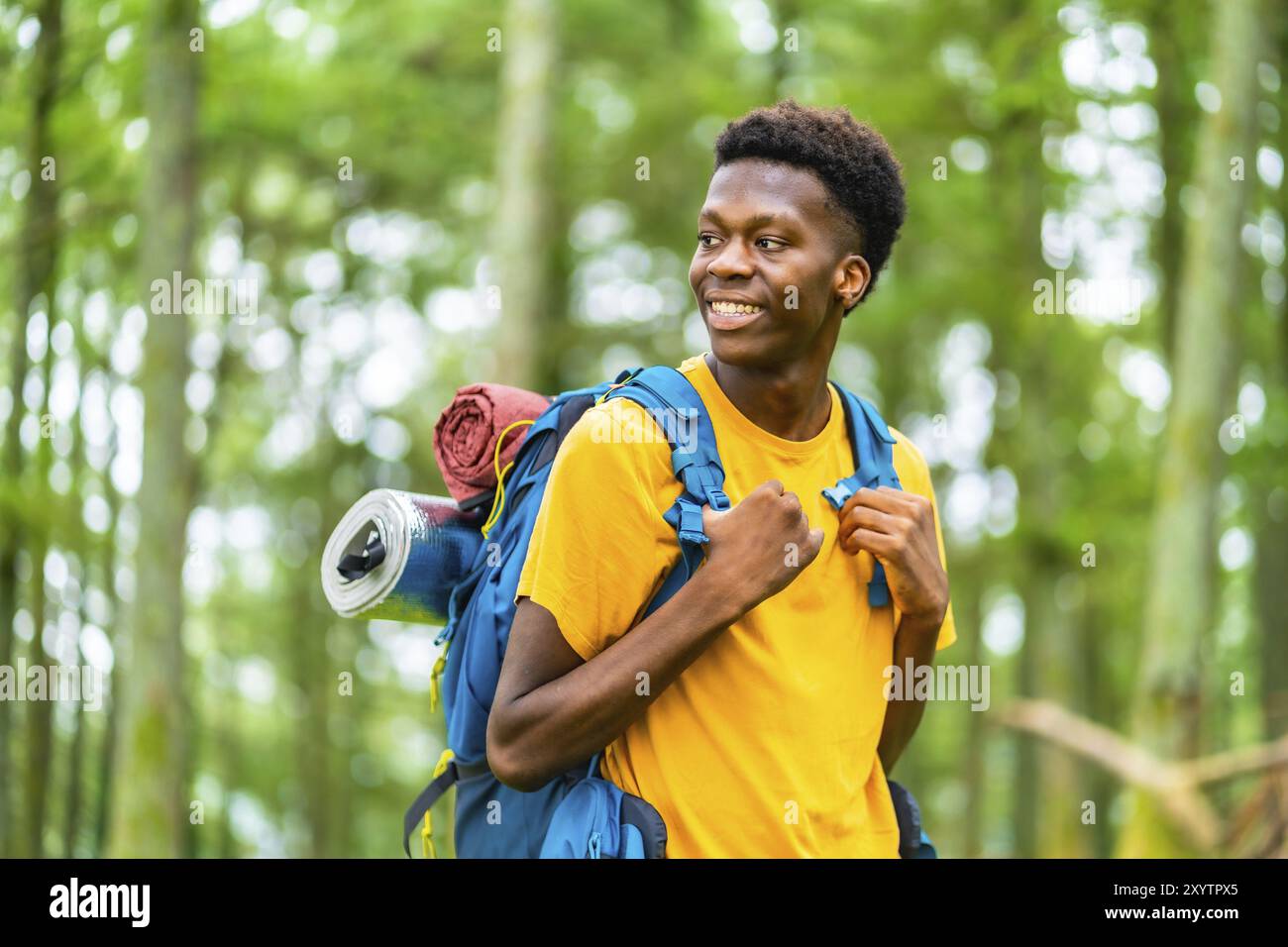 Distracted african young man enjoying nature hiking in the forest Stock ...