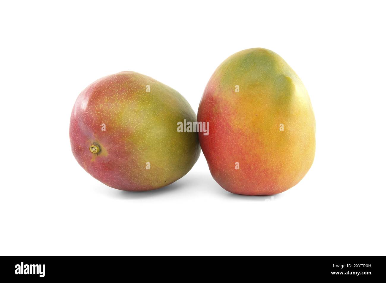 Two mango fruits isolated hi-res stock photography and images - Alamy