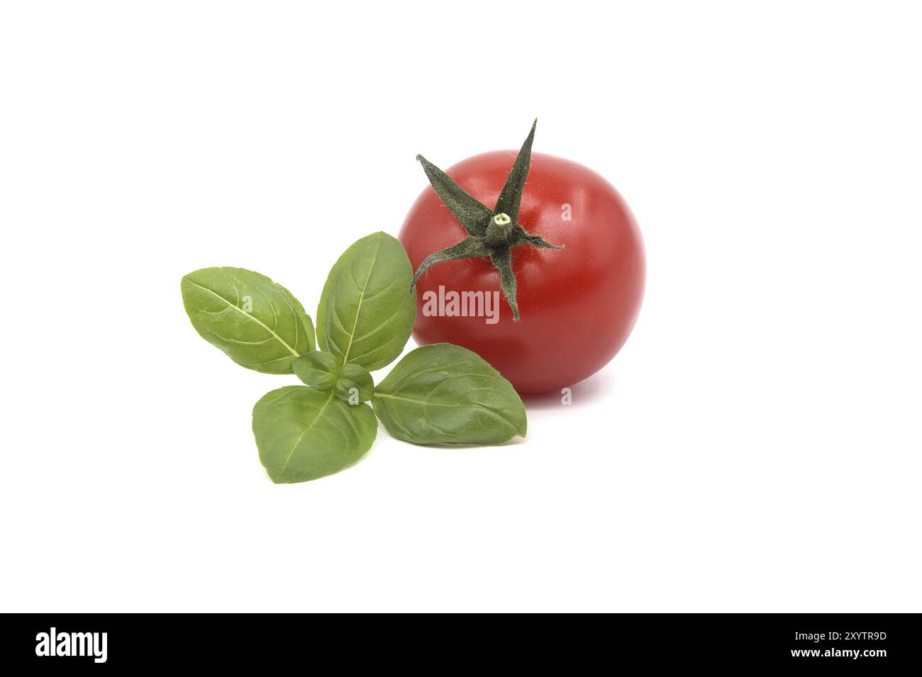 Fresh green basil leaves and cherry tomatoes isolated on white ...