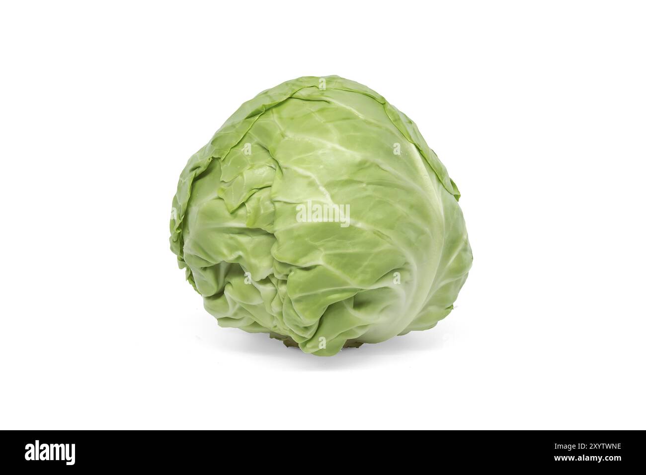 Whole fresh cabbage isolated on white background Stock Photo - Alamy