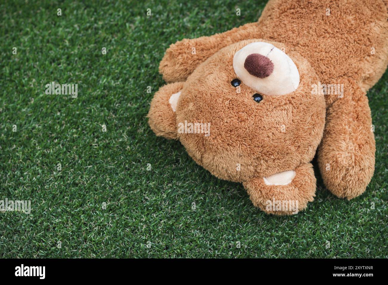 Cute teddy bear on green grass background Stock Photo - Alamy