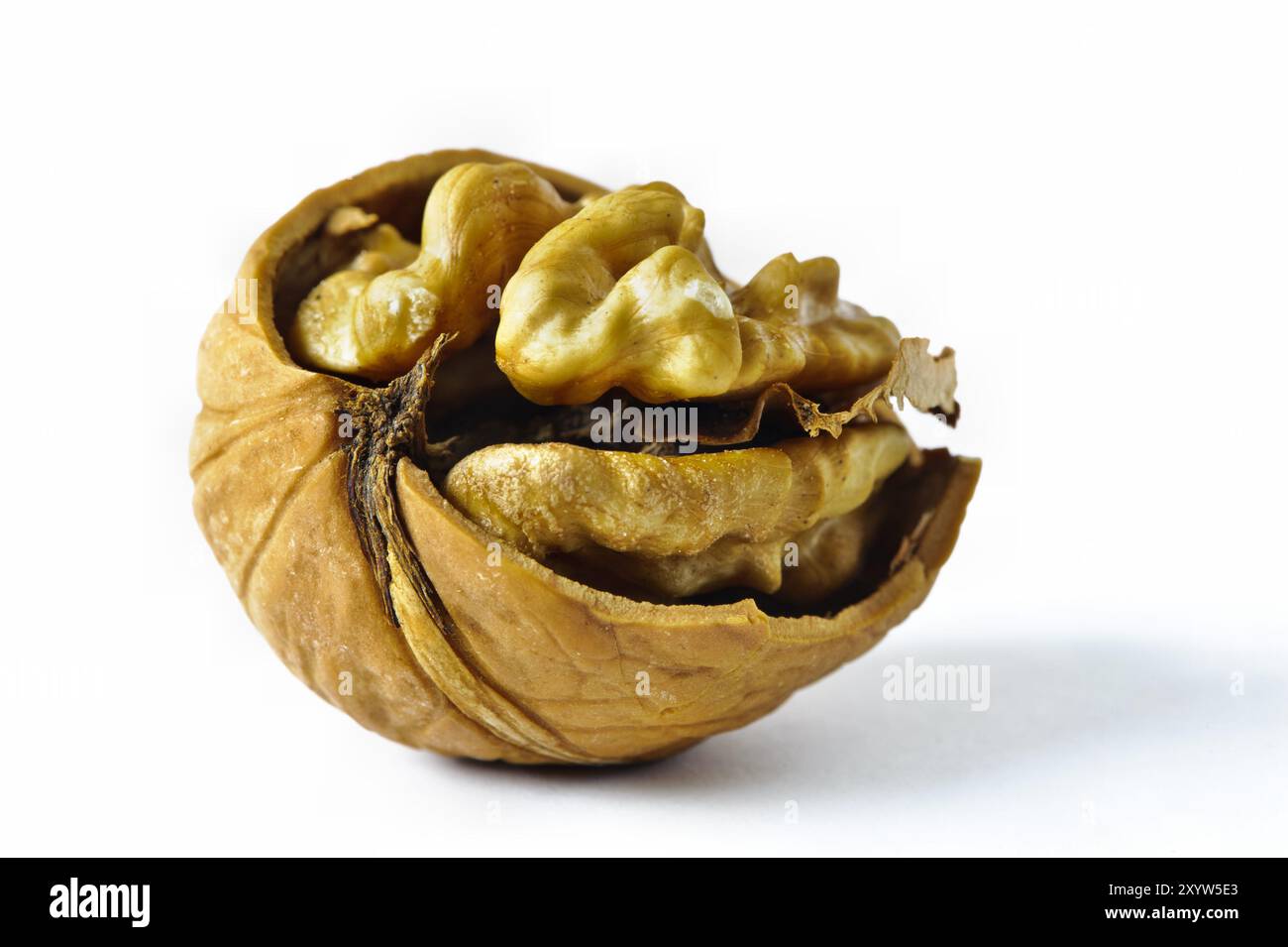 Walnut In Half Half a walnut against a white background Stock Photo - Alamy