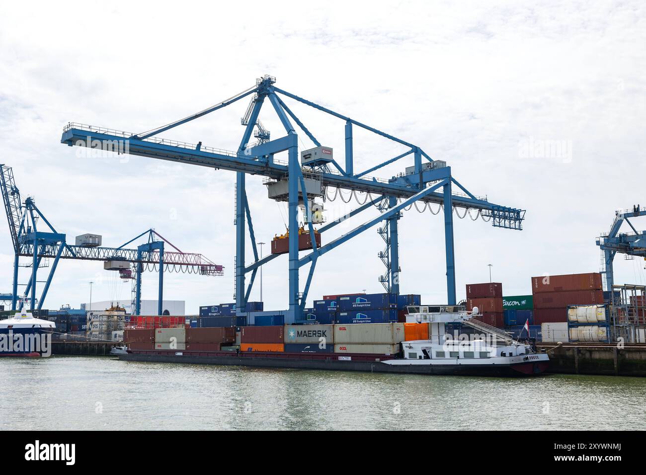 Crane loads container on the ship at the cargo port of Rotterdam ...