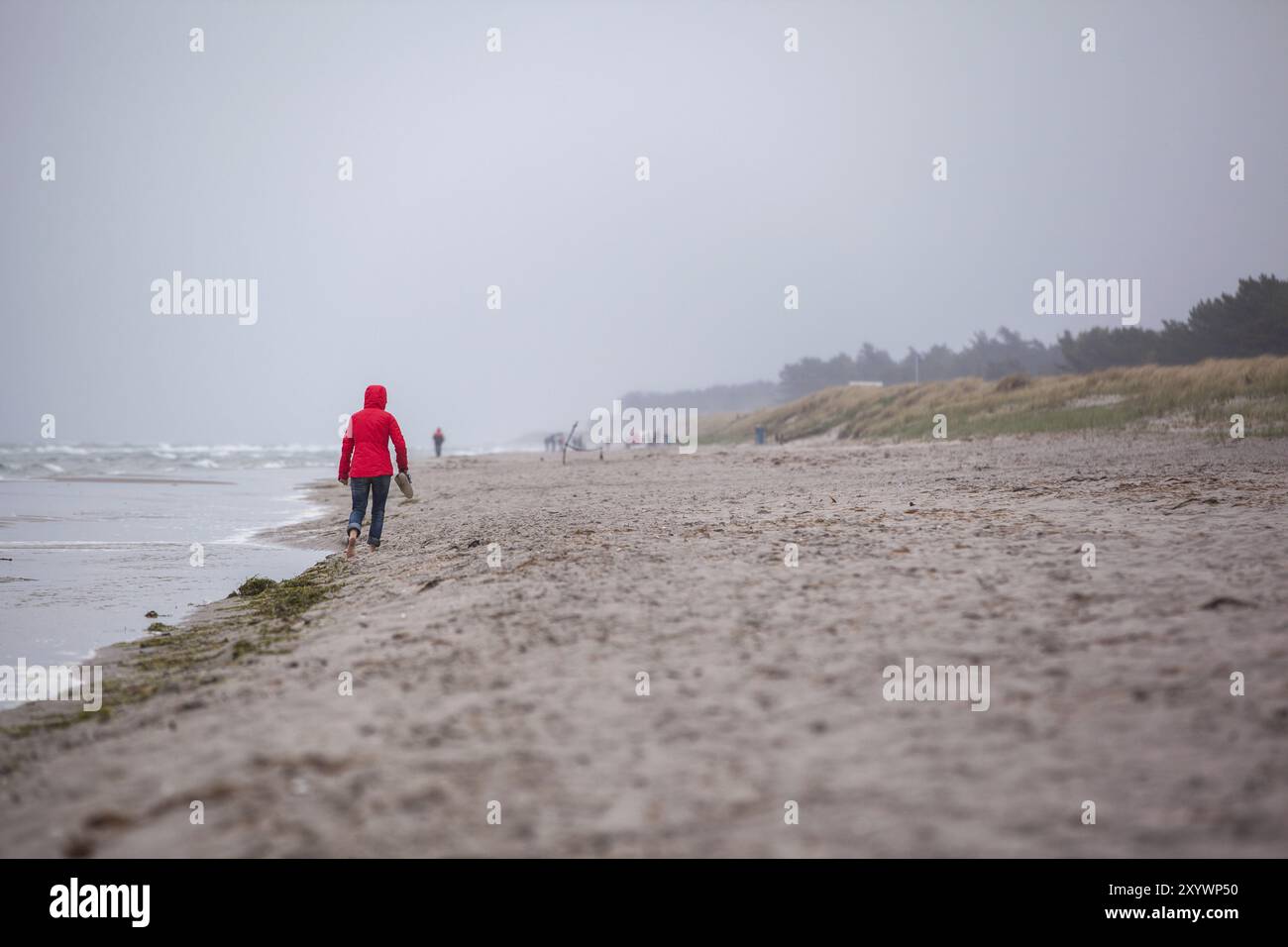 Woman in red jacket walks hi-res stock photography and images - Alamy