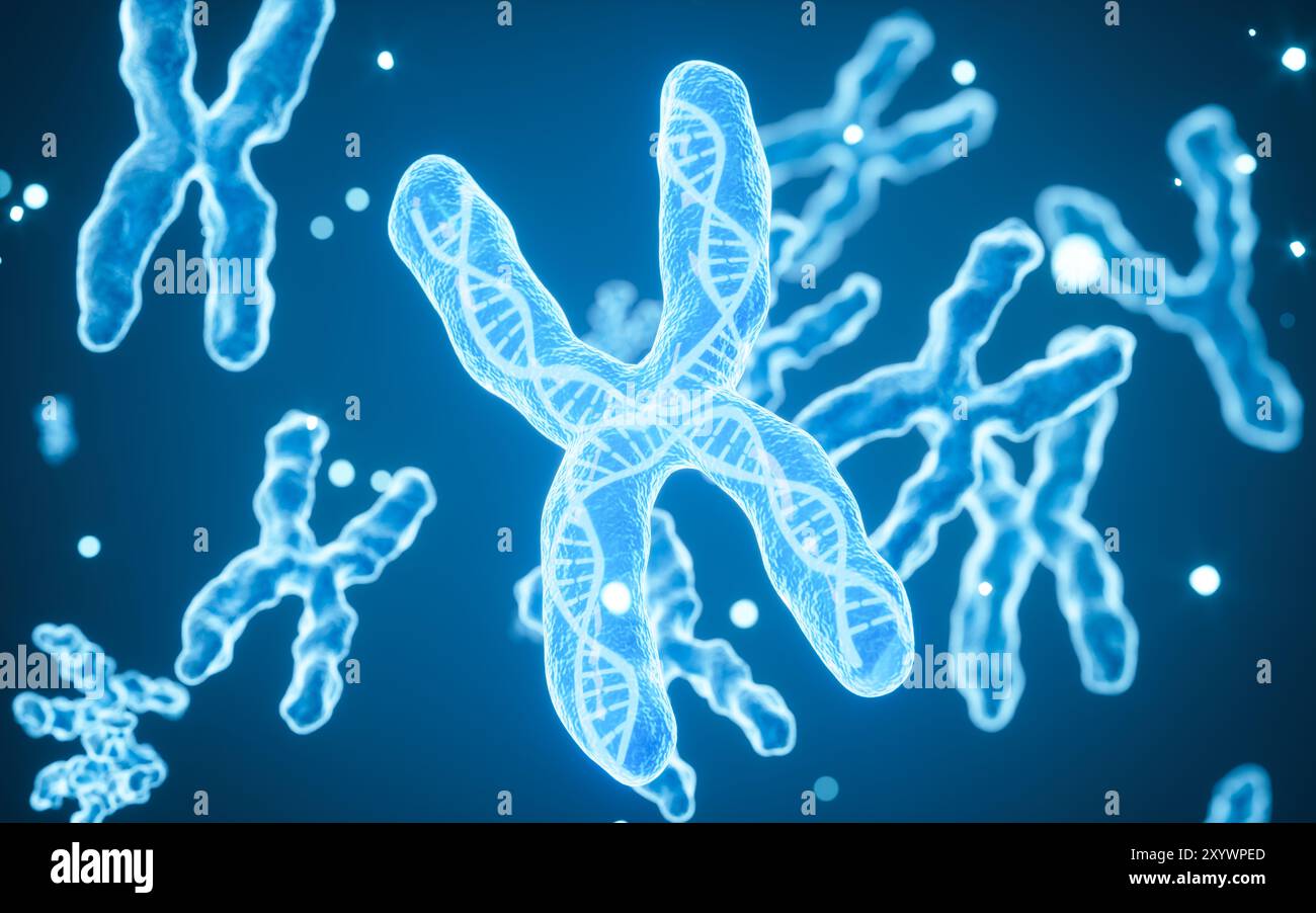 Chromosomes human hi-res stock photography and images - Alamy
