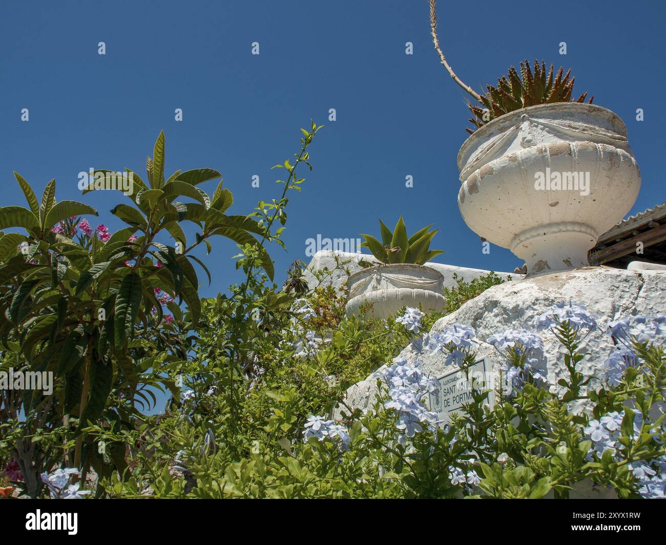 Flower pots full of plants and flowers in front of a blue sky in a sunny environment, ibiza, mediterranean sea, spain Stock Photo