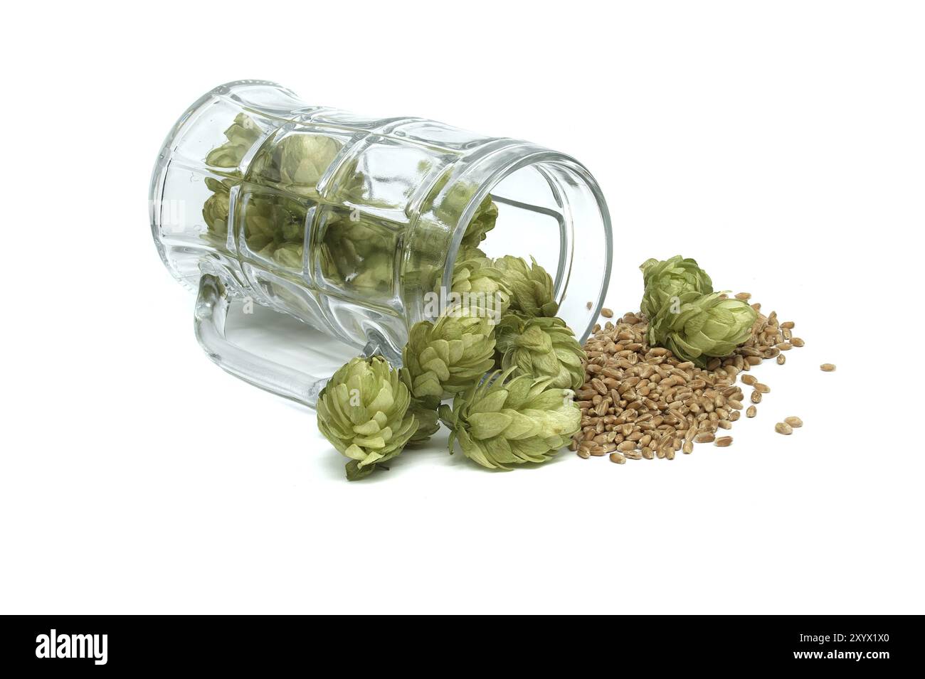 Grain variet hi-res stock photography and images - Alamy