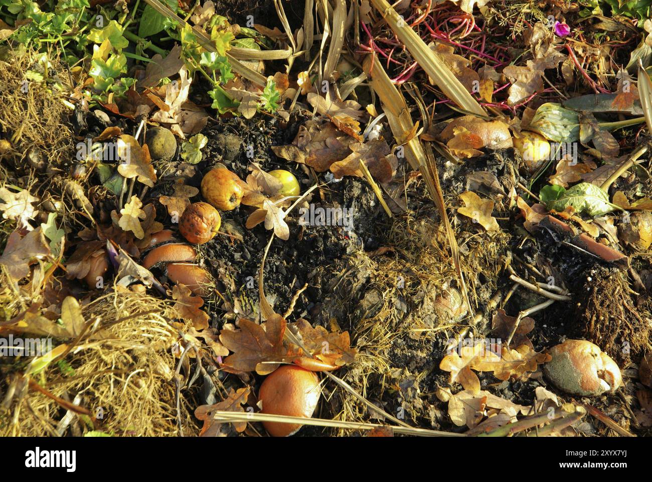 Weeds compost heap hi-res stock photography and images - Alamy