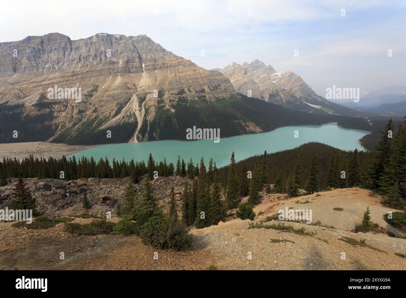 Peyto Lake in Banff National Park in Alberta Canada Stock Photo - Alamy