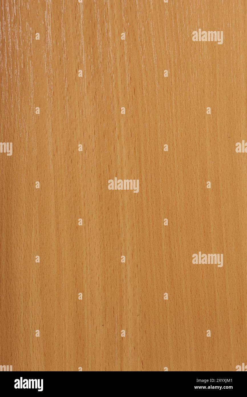Wood texture, high resolution photo. close up Stock Photo - Alamy