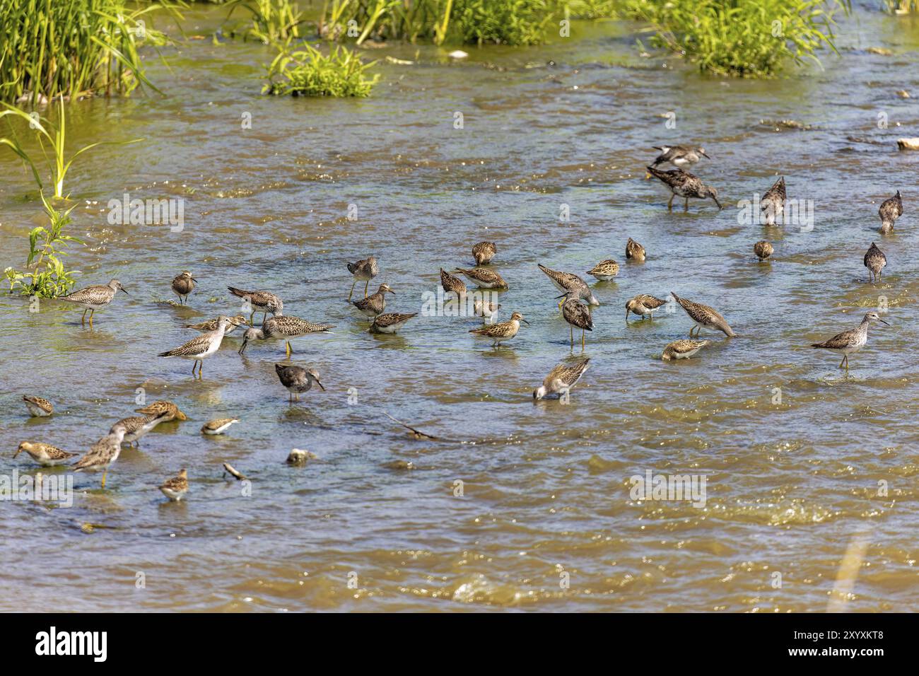 Natural scene from Manitowoc river in Wisconsin Stock Photo