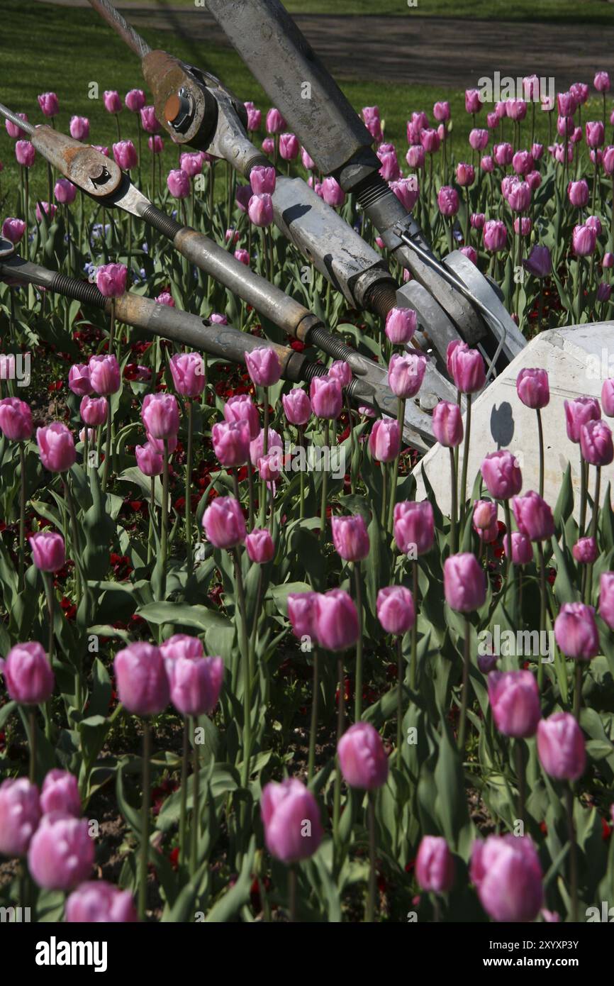 Rope spring bed hi-res stock photography and images - Alamy