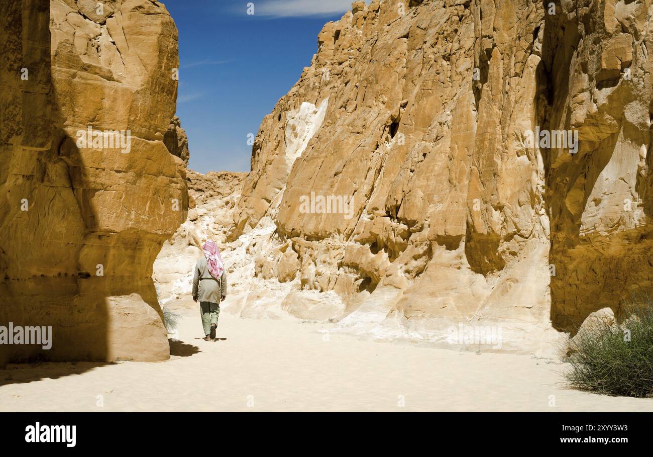 Bedouin walks among the rocks in a desert canyon in Egypt Dahab Stock ...