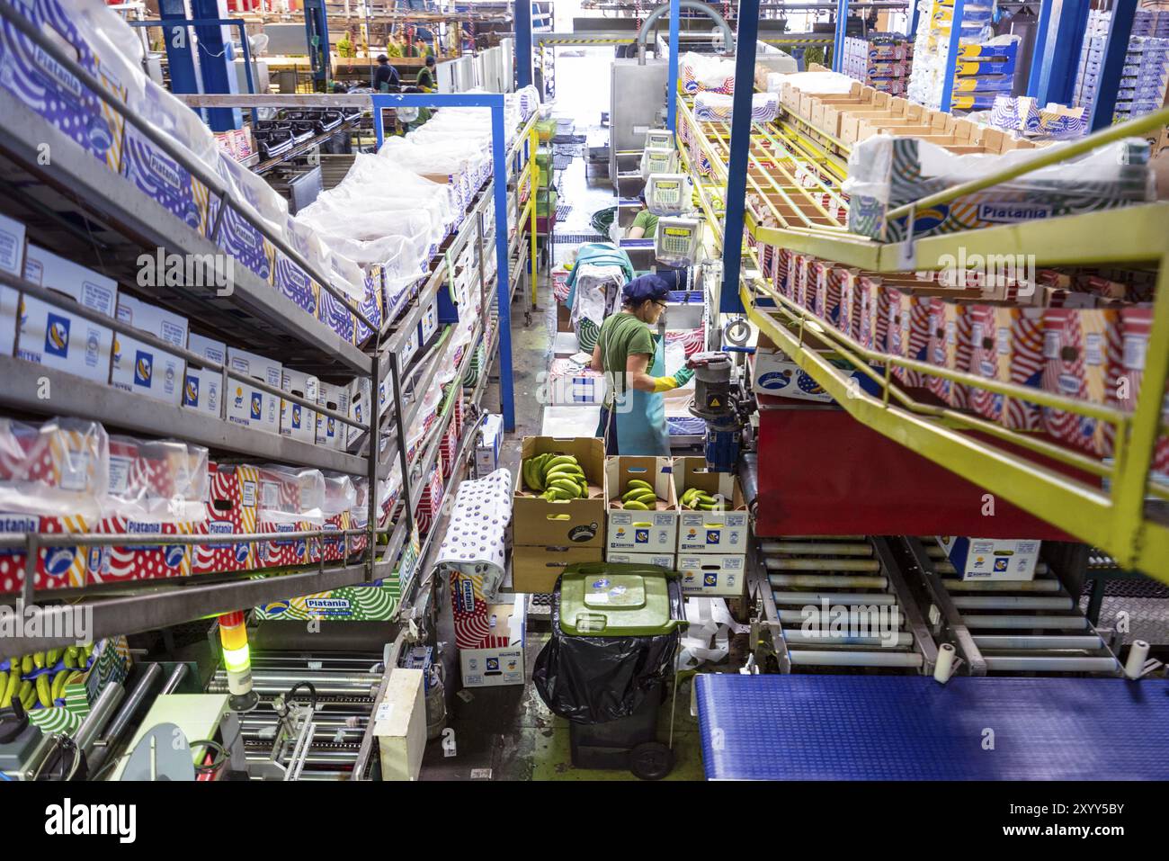 Tenerife, Spain, January 3, 2018 : Banana factory packaging line in Tenerife, Canary islands Spain, Europe Stock Photo