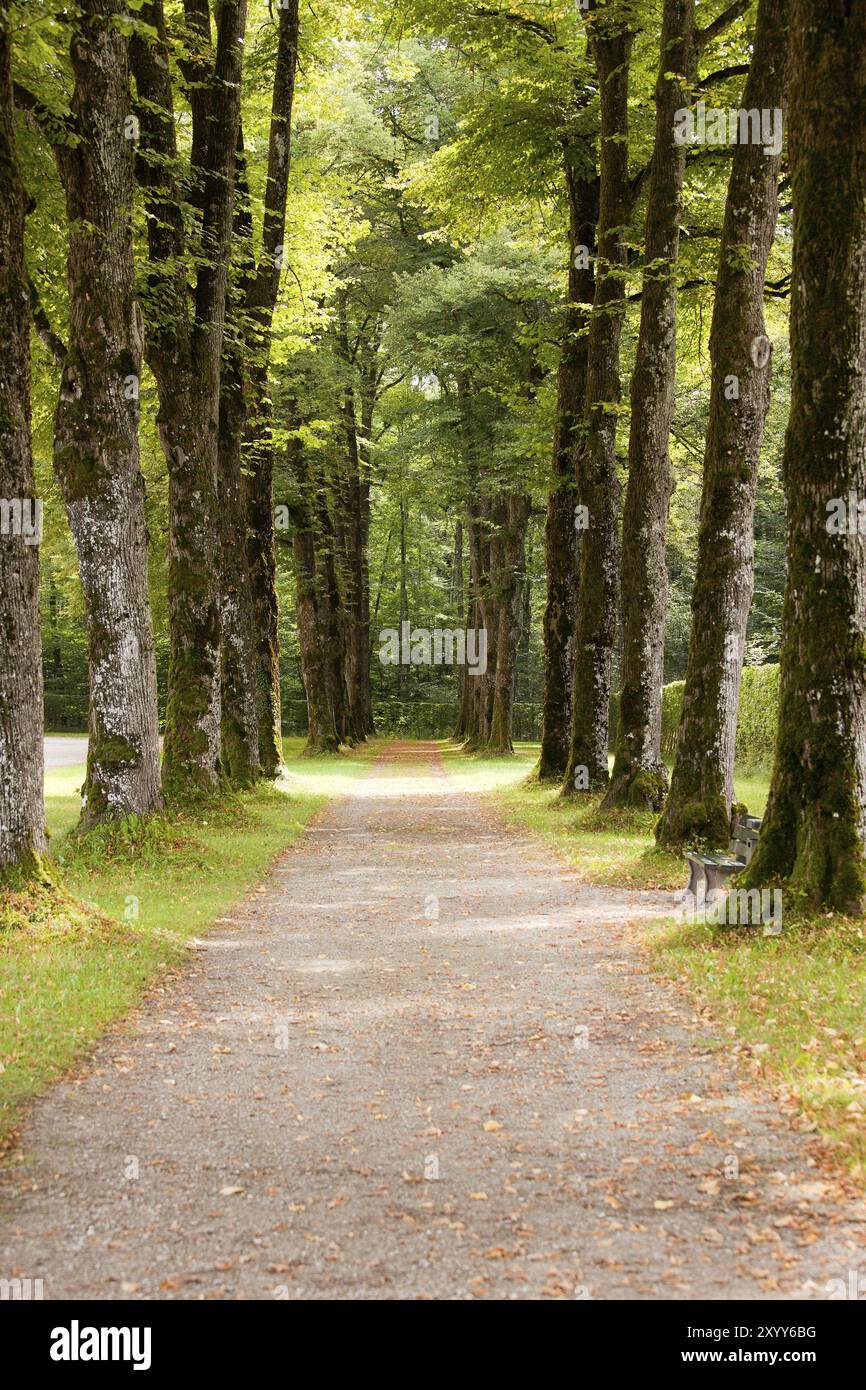 Long deserted alley in hi-res stock photography and images - Alamy