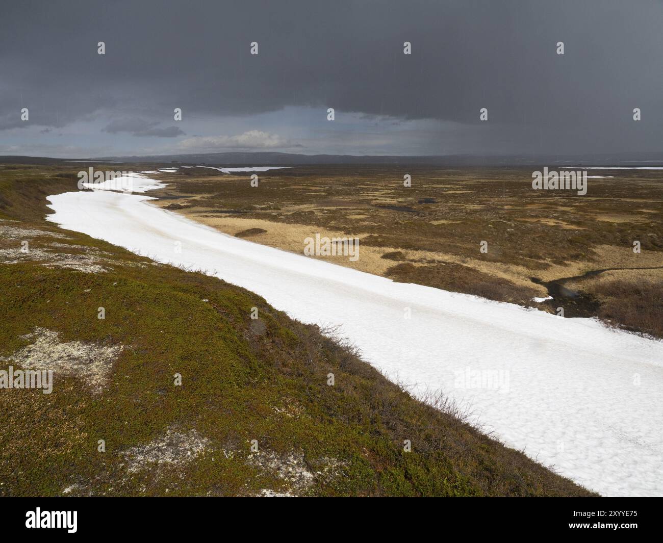 Rain clouds sweeping over tundra landscape, with snow remains in a ...