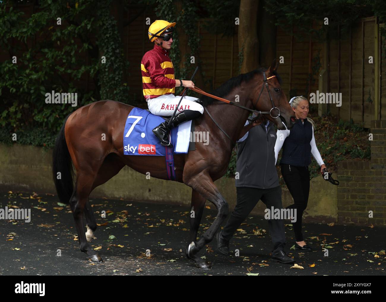 Victory Sound ridden by Tom Marquand ahead of the Sky Bet Solario Stakes at Sandown Racecourse. Picture date: Saturday August 31, 2024. Stock Photo