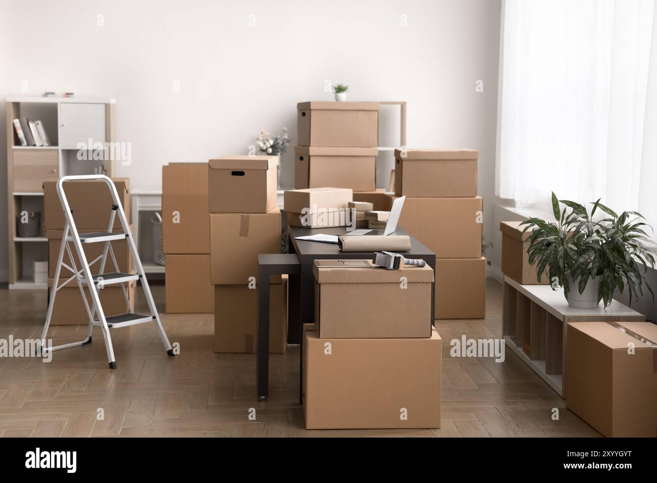 Room filled cardboard boxes hi-res stock photography and images - Alamy