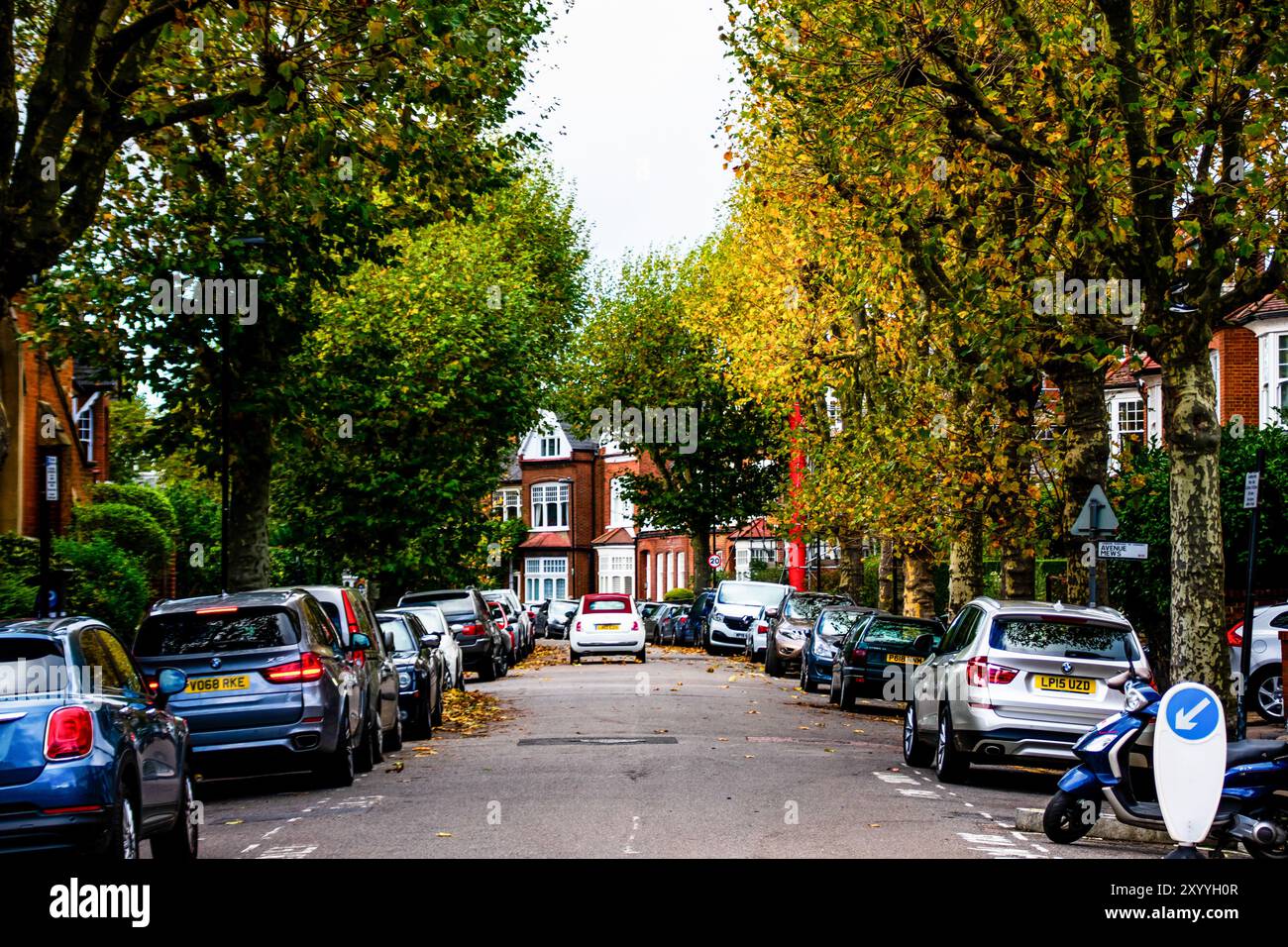 An autumn day on a charming London street lined with golden trees, parked cars, and a peaceful residential vibe. The beauty of everyday life in London. Stock Photo