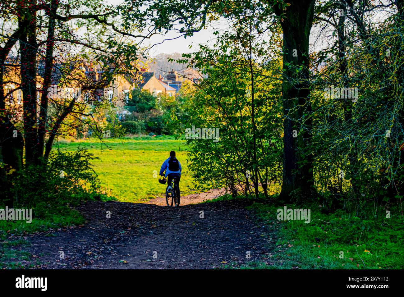 A quiet afternoon ride through a peaceful London park, where green fields meet charming houses under the soft golden light of the day. Stock Photo