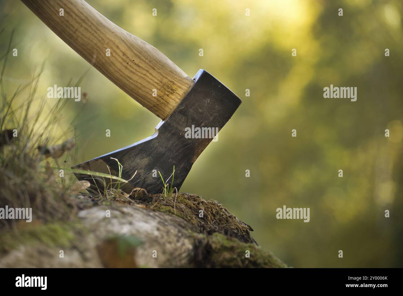 Axe or chopper stuck in log, mostly shades of yellow and brown in blurred background giving it an autumnal feel. Hard at work chopping up some firewoo Stock Photo