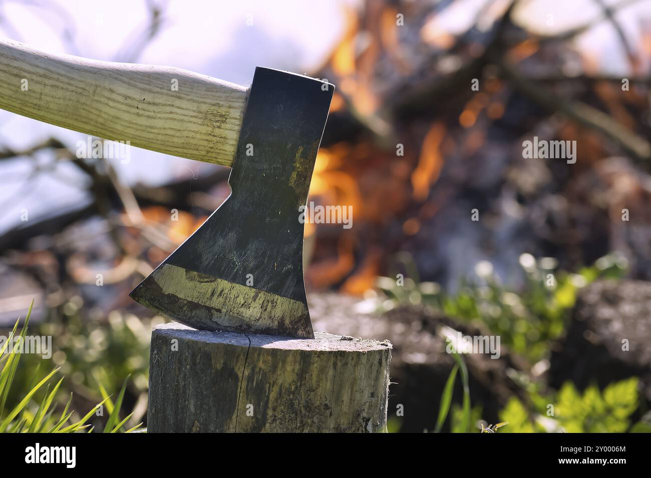 Axe embedded in the stump of a tree in close up, burning campfire in the background, outdoor activities such as chopping wood, splitting logs or envir Stock Photo