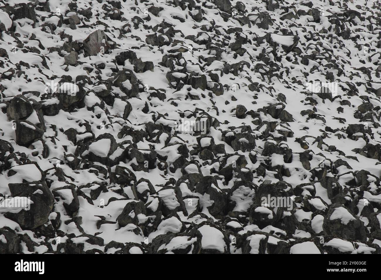 Closeup shot rocks covered hi-res stock photography and images - Alamy