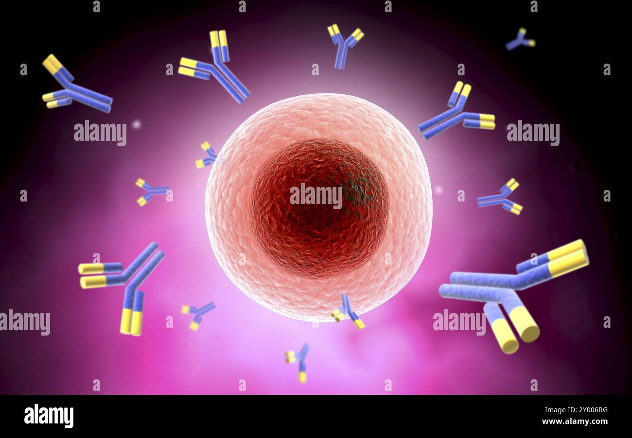 Microscopic view of cell and antibody Stock Photo - Alamy