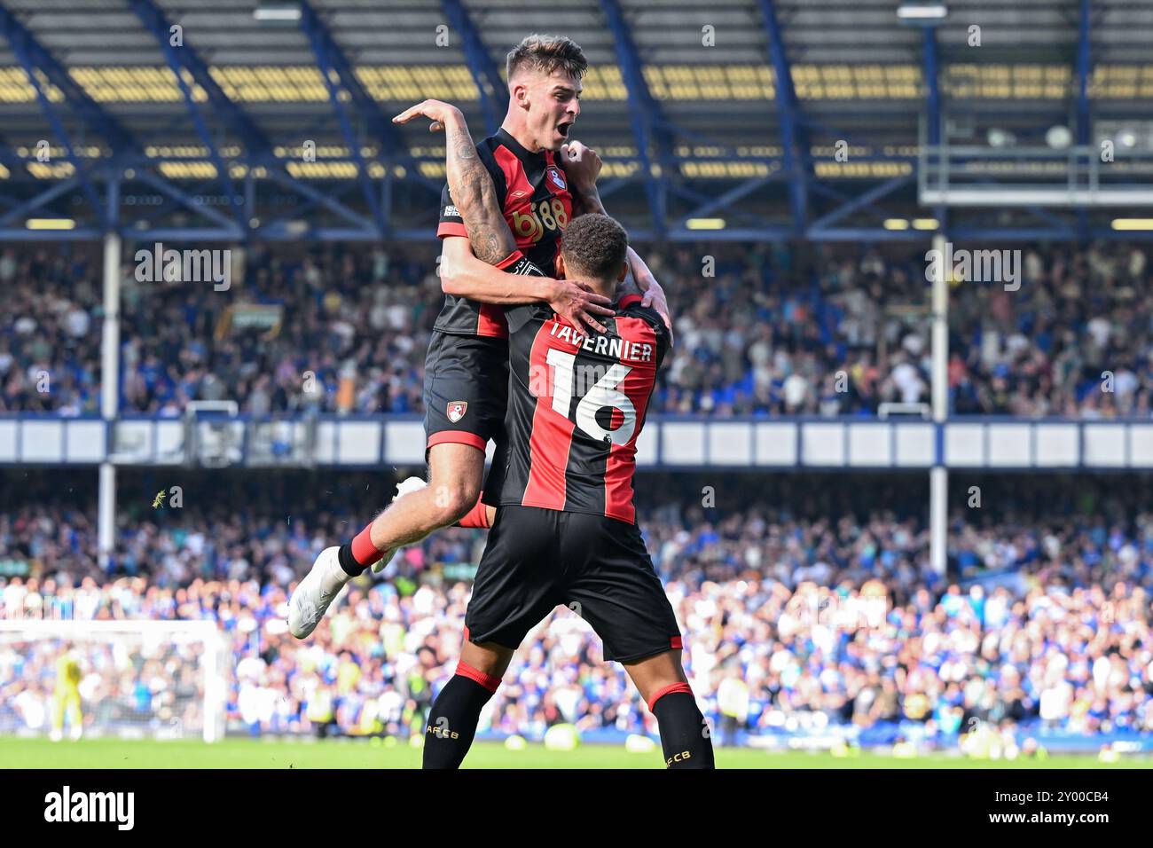 Liverpool, UK. 31st Aug, 2024. Alex Scott of Bournemouth and Marcus Tavernier of Bournemouth celebrates Luis Sinisterra of Bournemouth goal to make it 2-3 Bournemouth during the Premier League match Everton vs Bournemouth at Goodison Park, Liverpool, United Kingdom, 31st August 2024 (Photo by Cody Froggatt/News Images) in Liverpool, United Kingdom on 8/31/2024. (Photo by Cody Froggatt/News Images/Sipa USA) Credit: Sipa USA/Alamy Live News Stock Photo