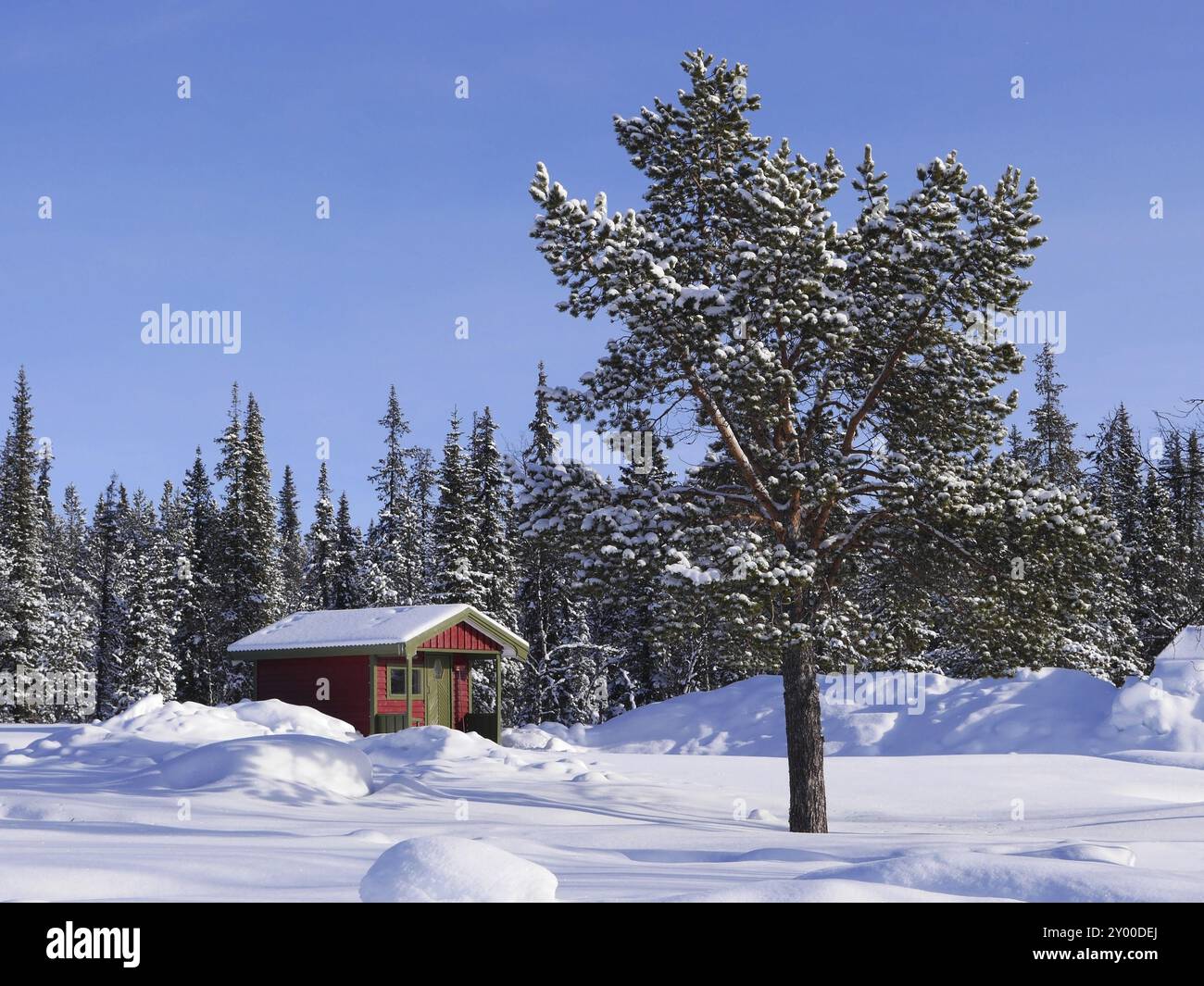 Winter in Lapland Stock Photo