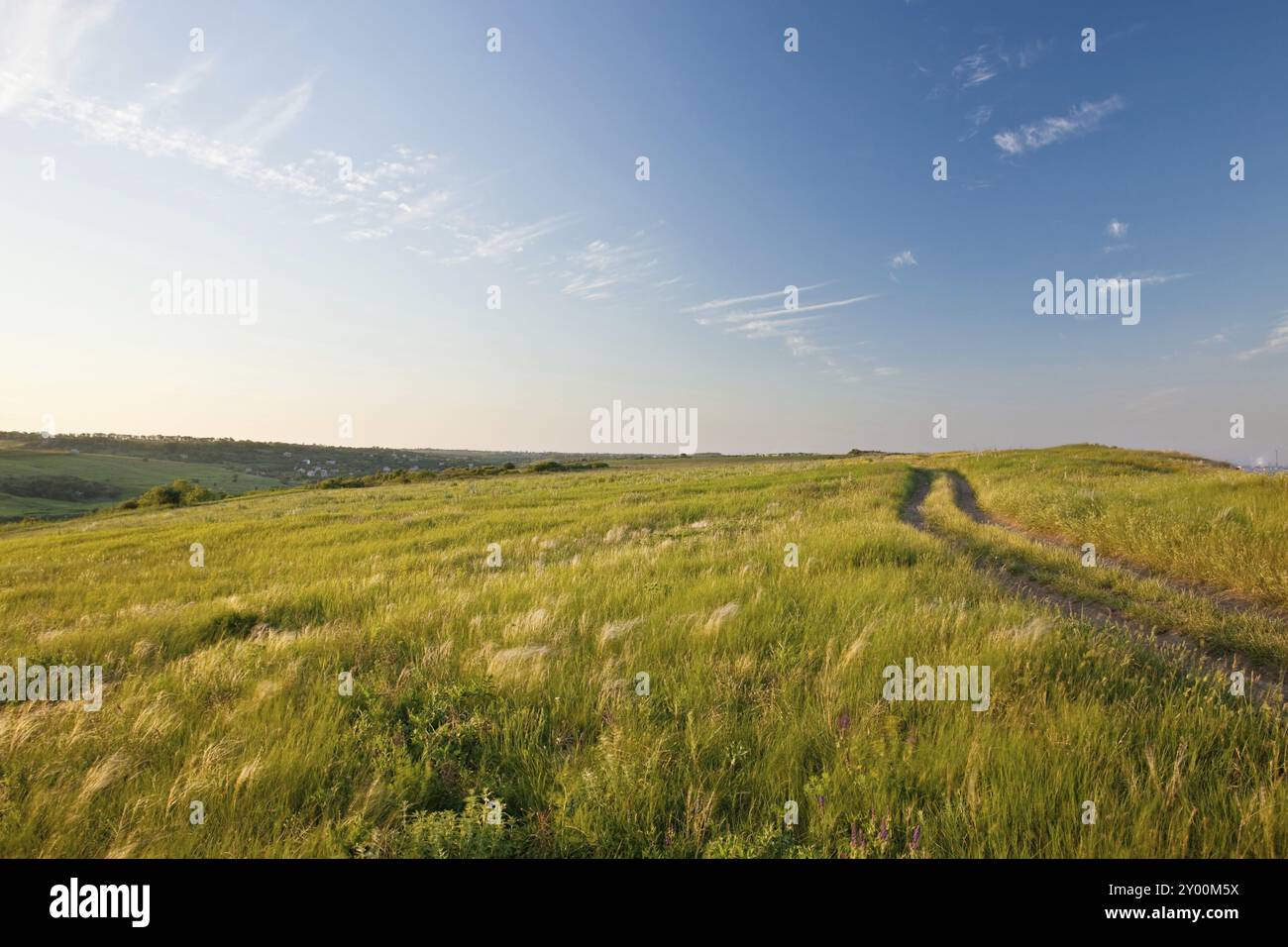 Evening in a summer steppe Stock Photo