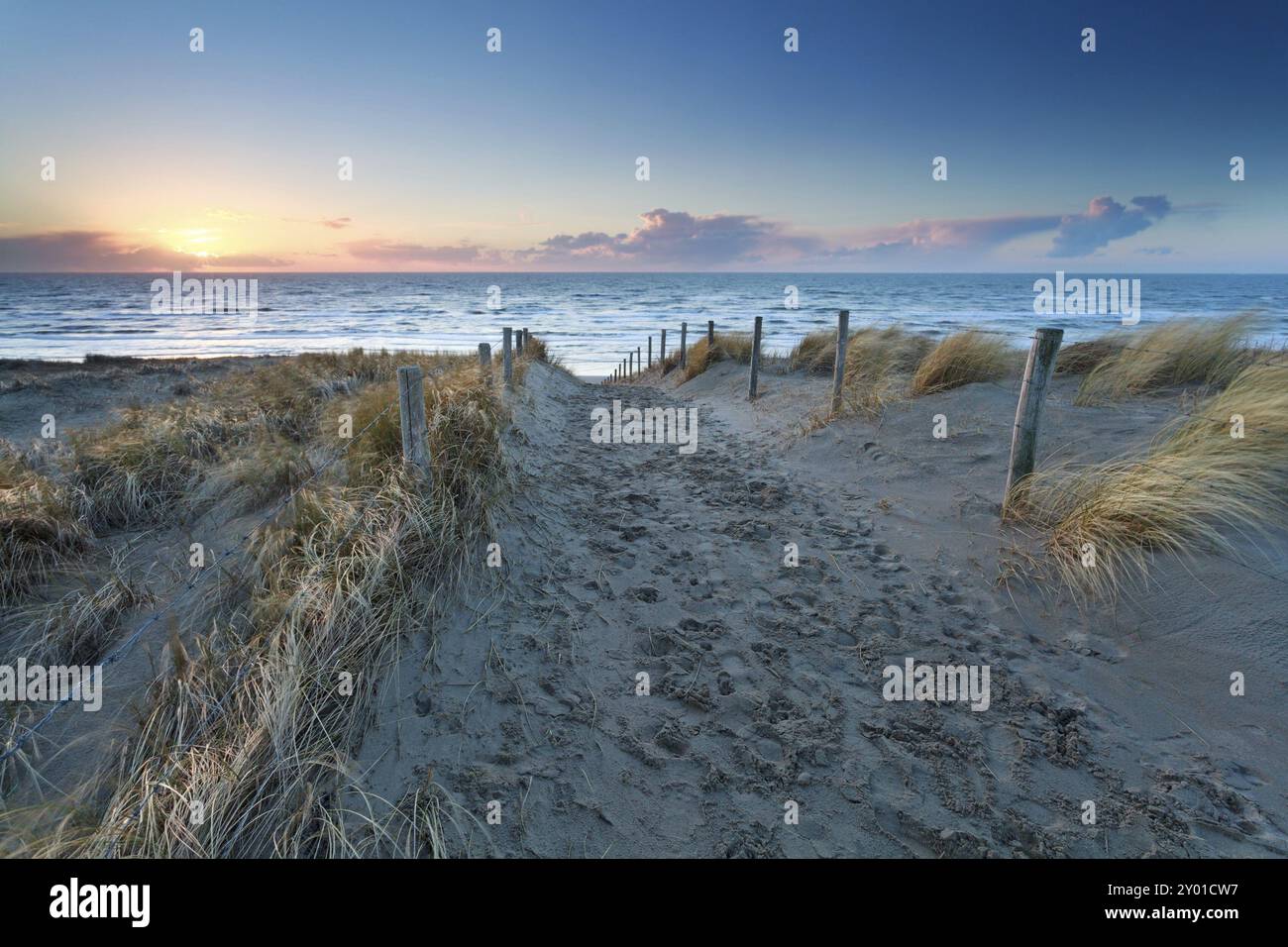 Sand path to North sea beach at sunset, Holland Stock Photo - Alamy