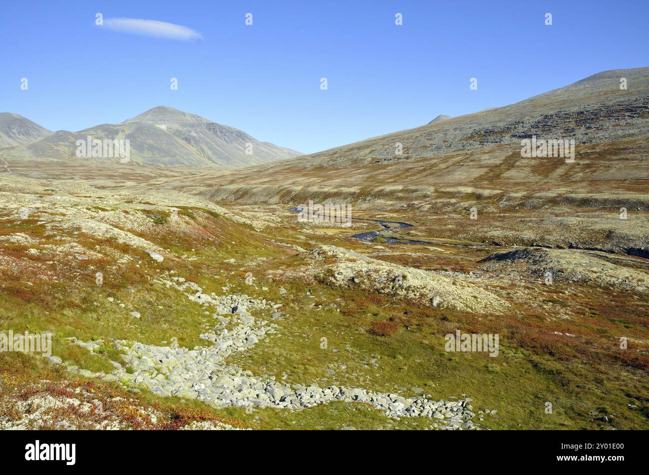 High Resolution Rondane Rondane land hi-res stock photography and images - Alamy