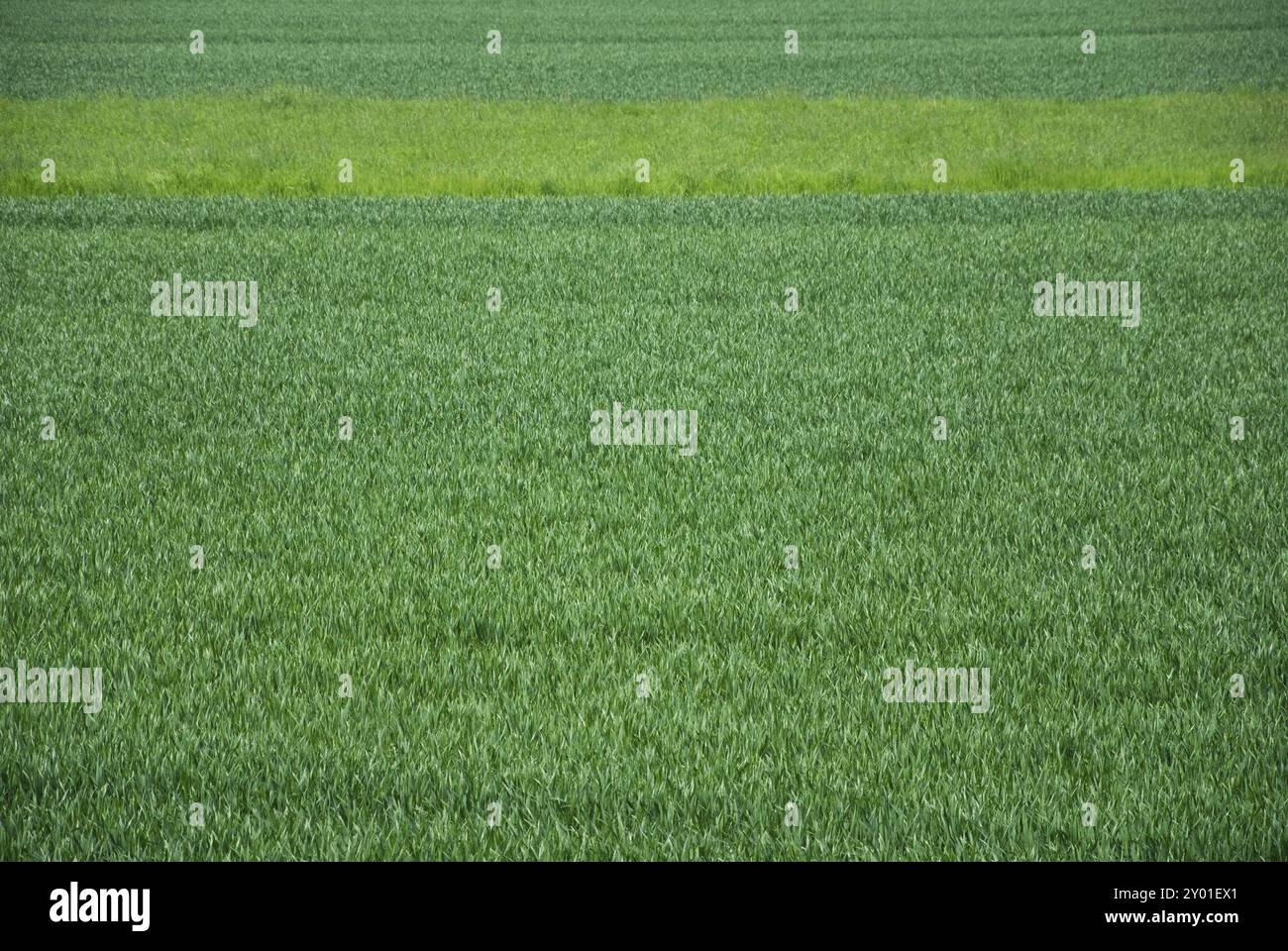 Parallel Swath Pattern Parallel pattern hi-res stock photography and images - Alamy