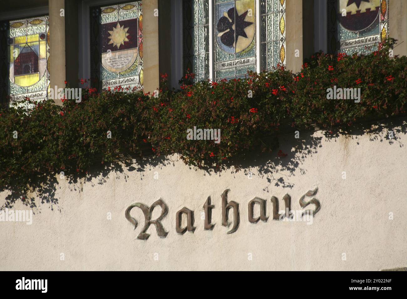 Lettering under lush geraniums Stock Photo - Alamy