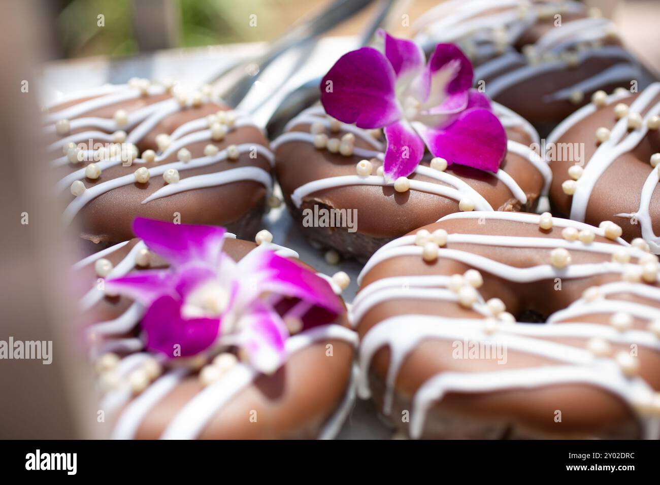 A view of a tray of chocolate donuts with streaks of white frosting ...