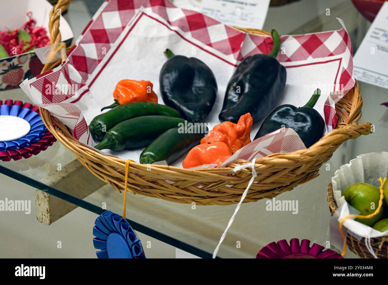 Award-winning entry of home-grown habanero, jalapeno and poblano peppers at the county fair. Stock Photo