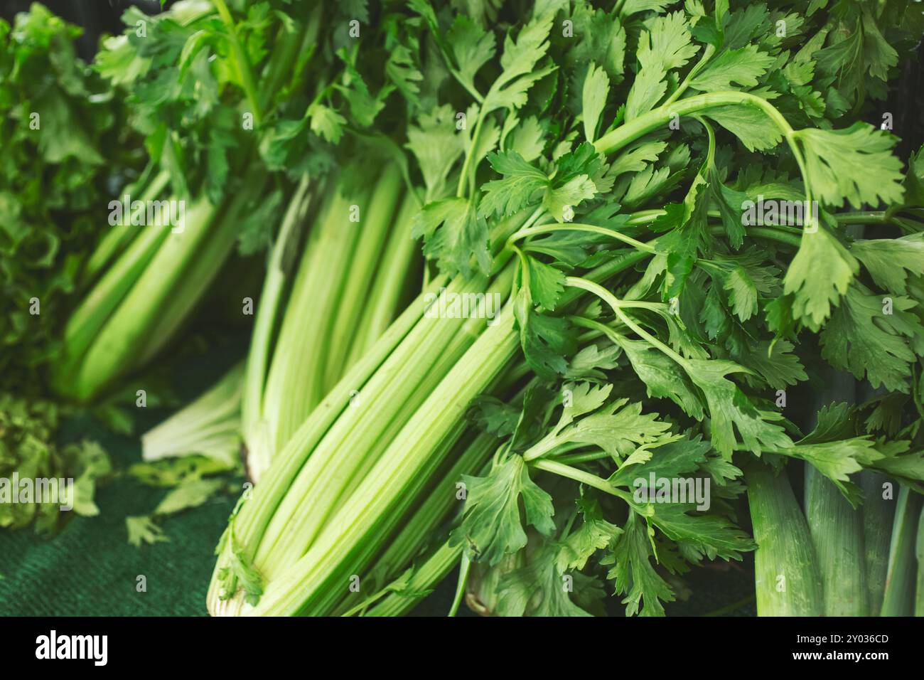 Tree celery hi res stock photography and images Alamy