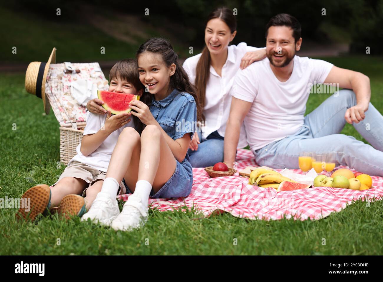 Weekend picnic lovely caucasian girl hi-res stock photography and ...