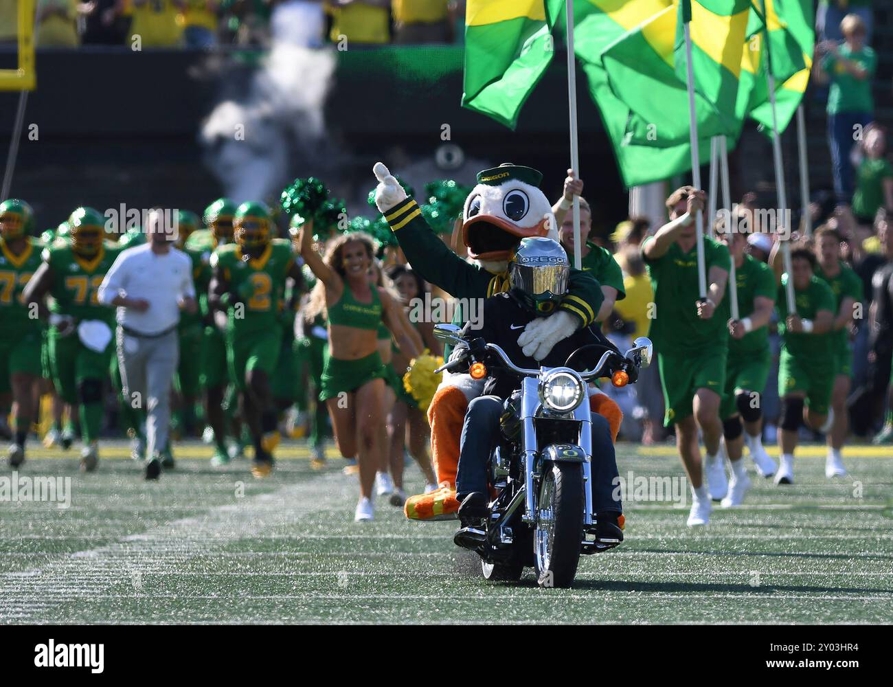 EUGENE, OR - AUGUST 31: The Oregon Ducks mascot, Puddles, leads the team  onto the field prior to the start of the game during a college football  game between the Oregon Ducks, image size:1300x1000