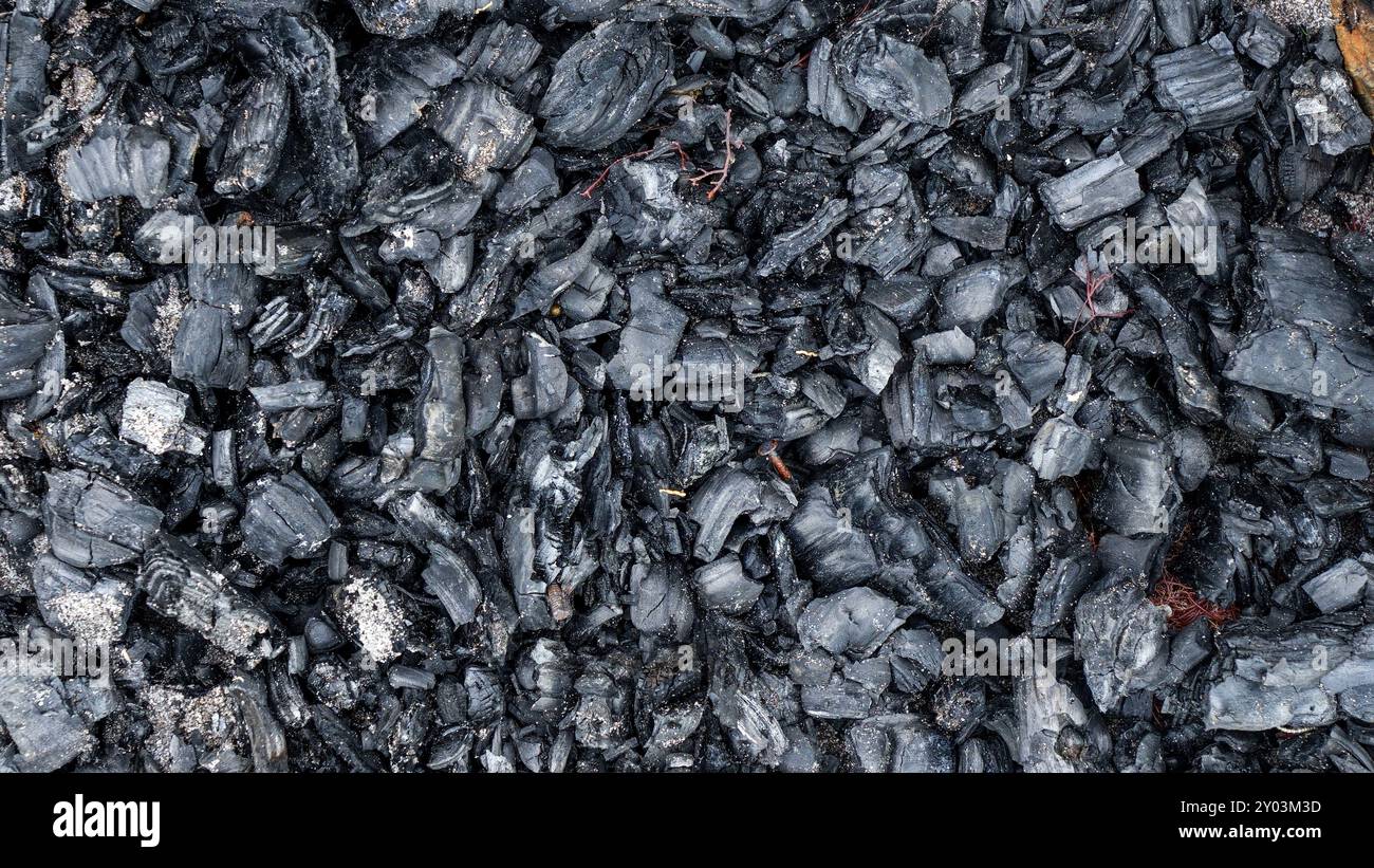 Black charcoal texture from burnt wood Stock Photo - Alamy