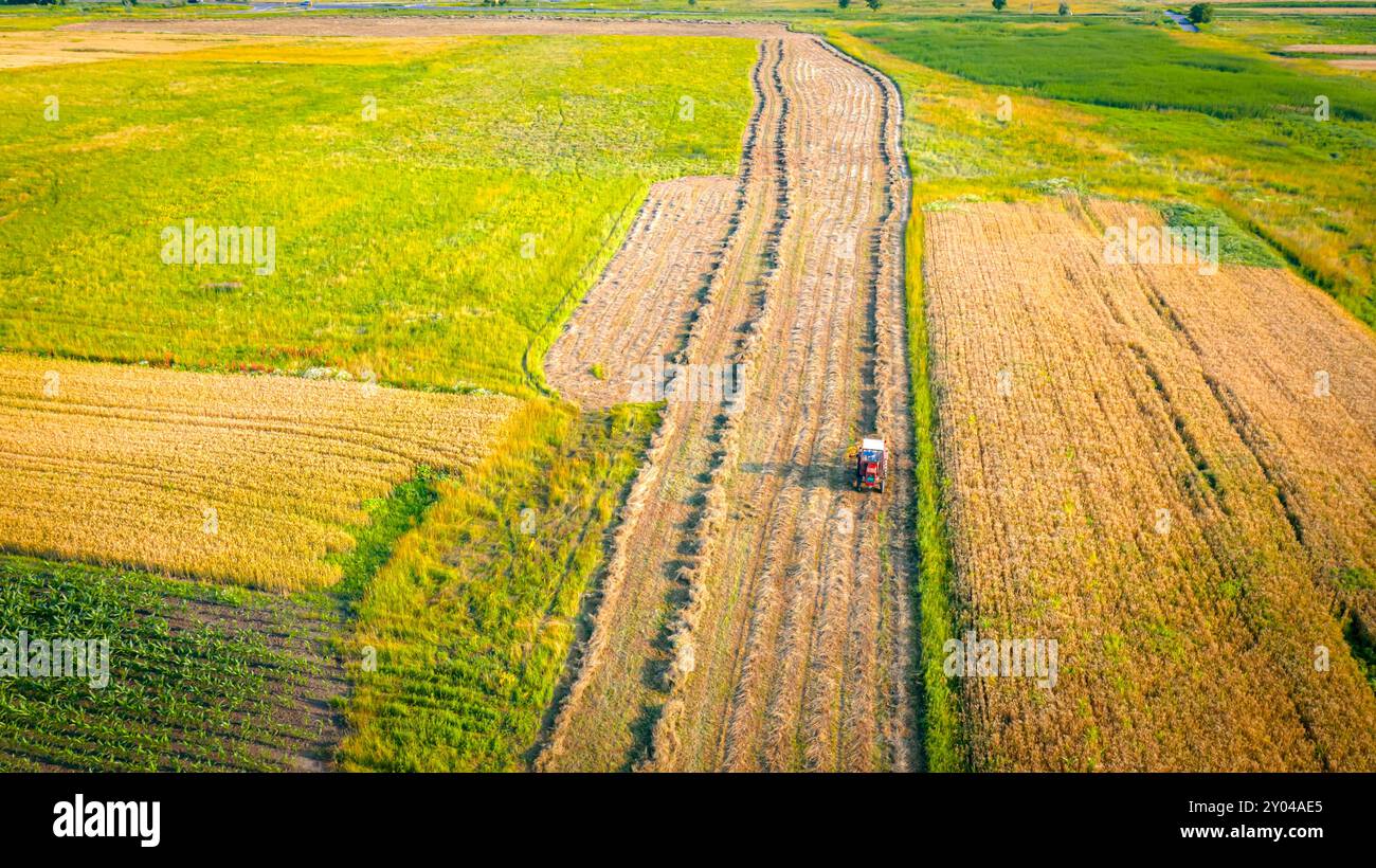 Tractor with attached mechanical rake is turning and gathering dry ...
