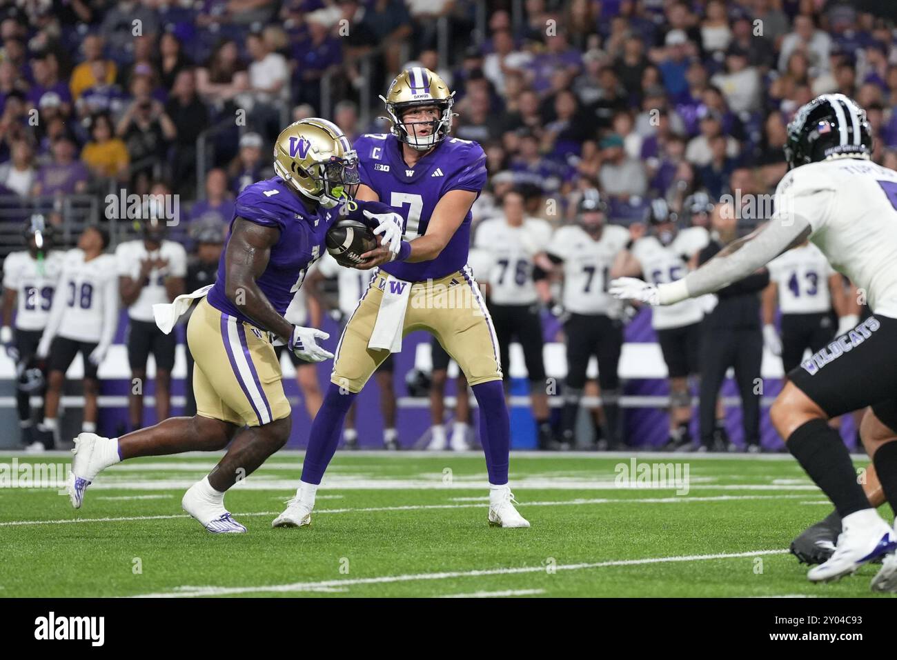 Seattle, United States. 31st Aug, 2024. Washington Huskies quarterback Will Rogers (7) hands off to Washington Huskies running back Jonah Coleman (1) in the third quarter of a college football game against the Weber State Wildcats at Husky Stadium in Seattle, Washington on August 31, 2024. (Photo credit Nate Koppelman/Sipa USA) Credit: Sipa USA/Alamy Live News Stock Photo