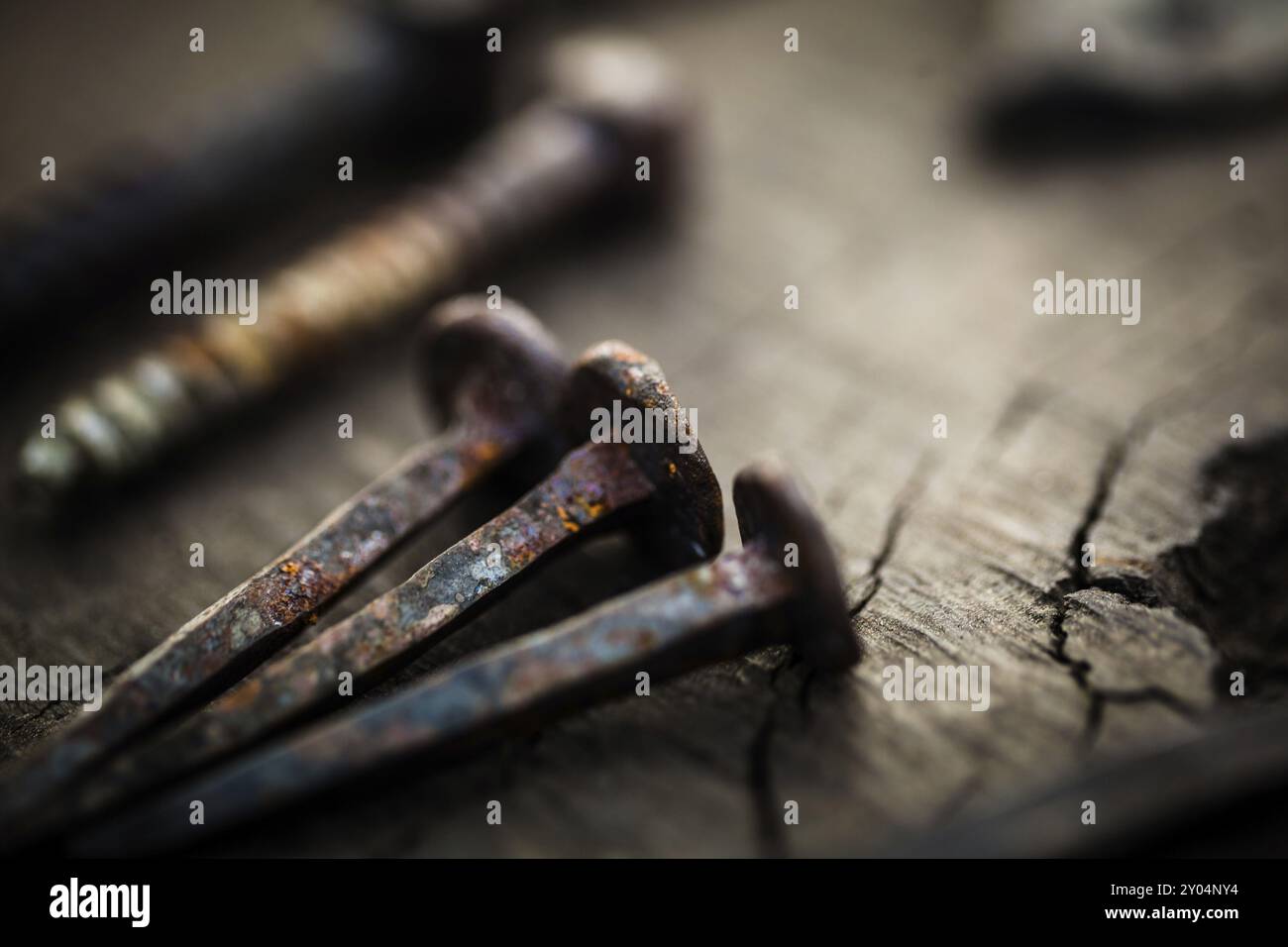 Rusty iron nails Stock Photo