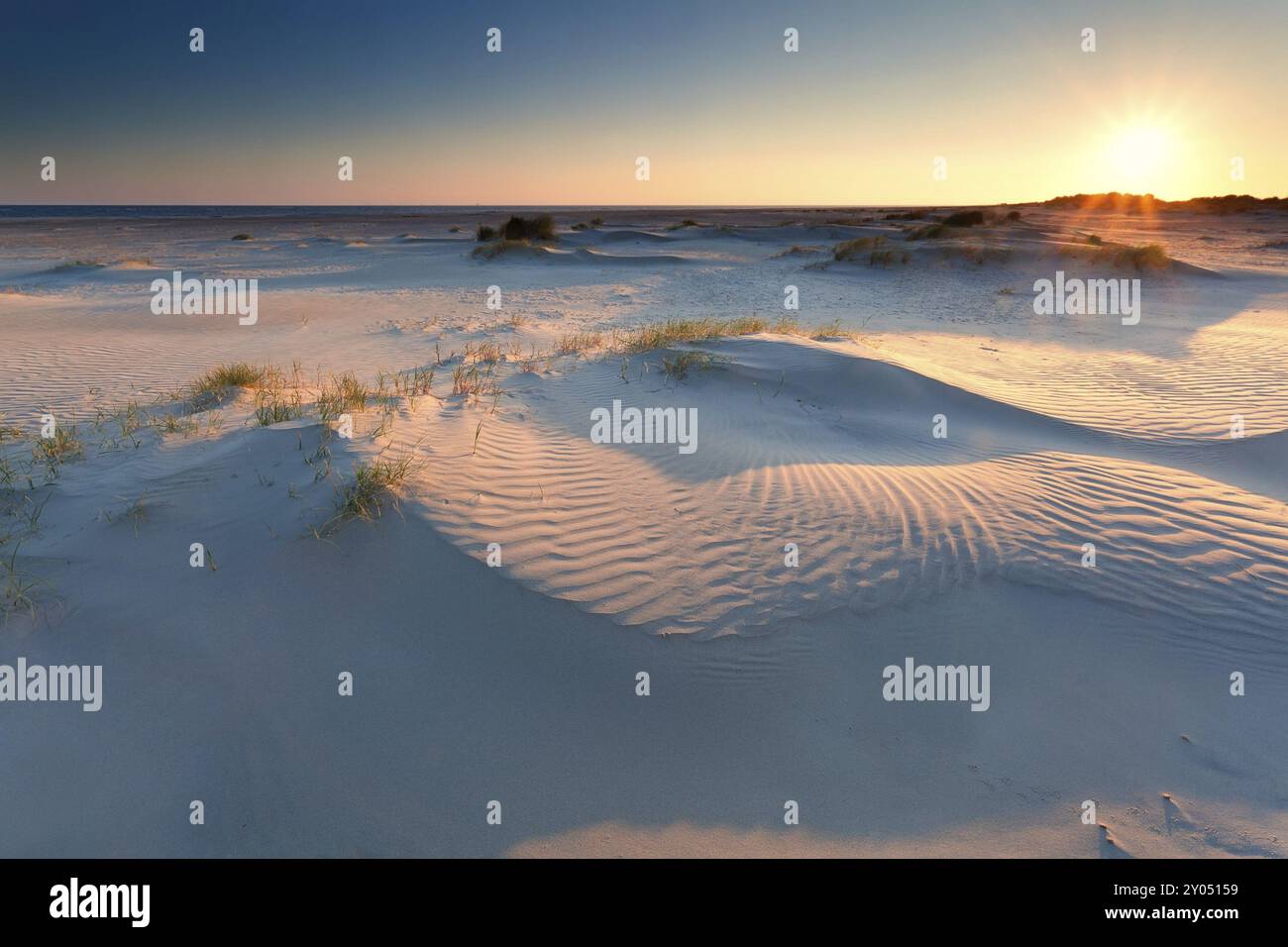 Sunrise over sand dunes on North sea beach, Holland Stock Photo - Alamy