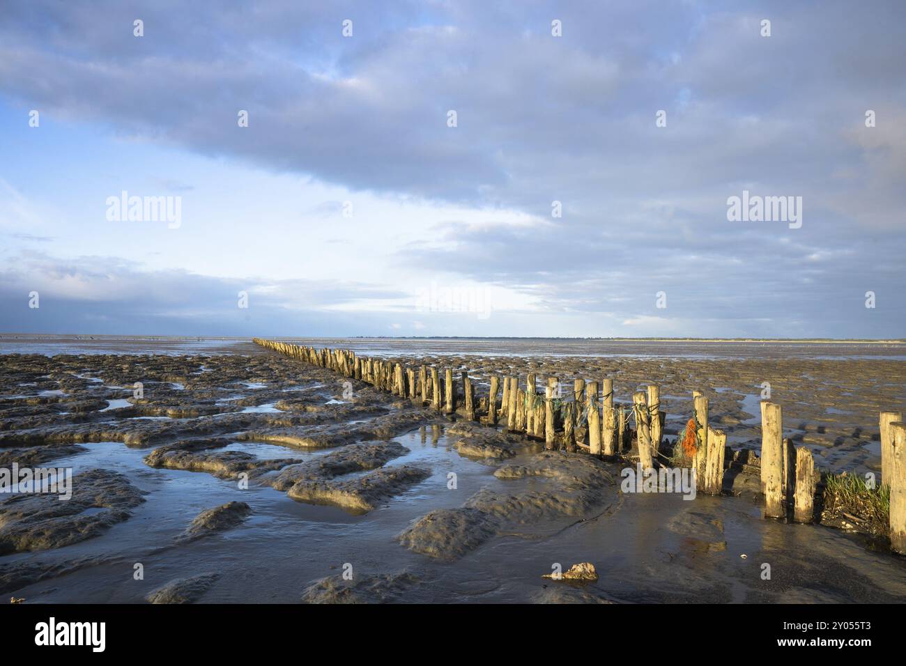 Danish Wadden Island Romo Stock Photo