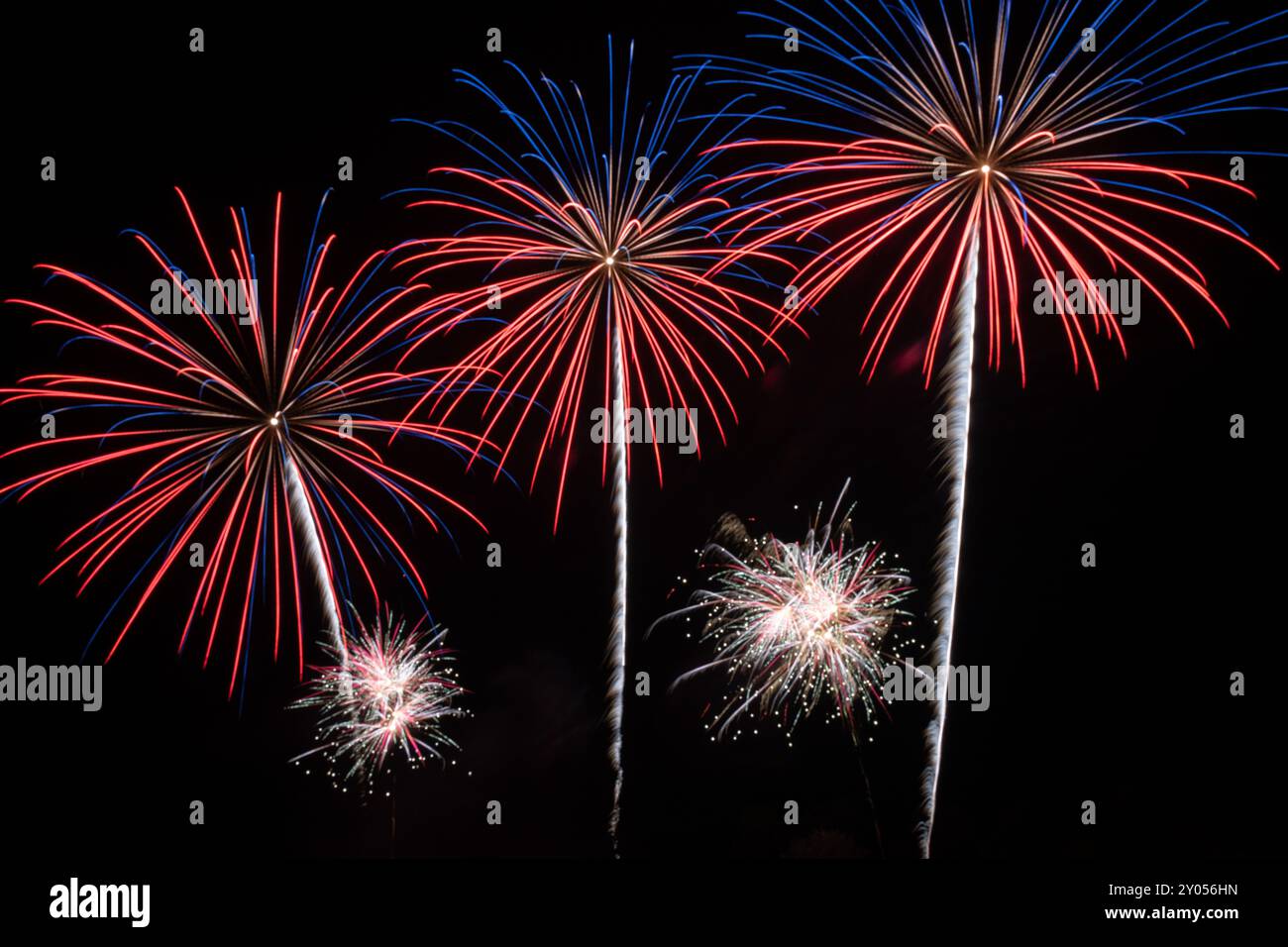Colorful Fireworks Display against Black Sky Stock Photo