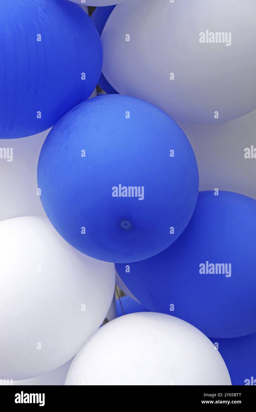 Blue and white latex balloons for party Stock Photo