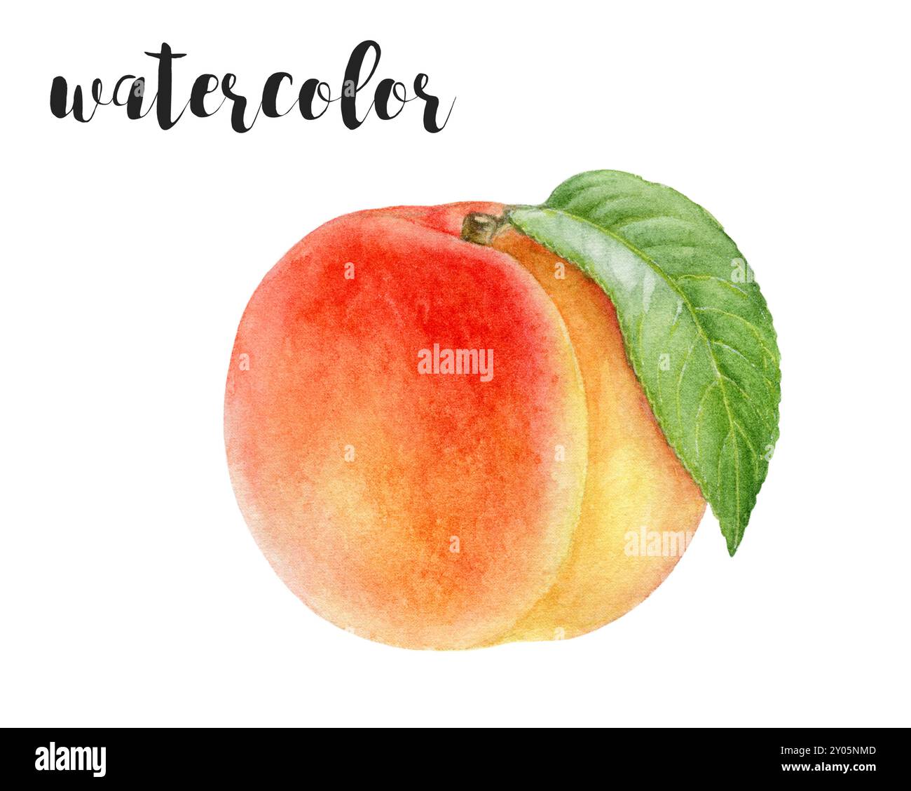 This is a Beautiful and Vibrant Watercolor Illustration showcasing a ...